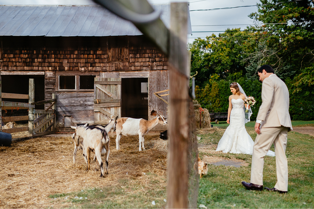 inn-at-fernbrook-farms-wedding-photography52