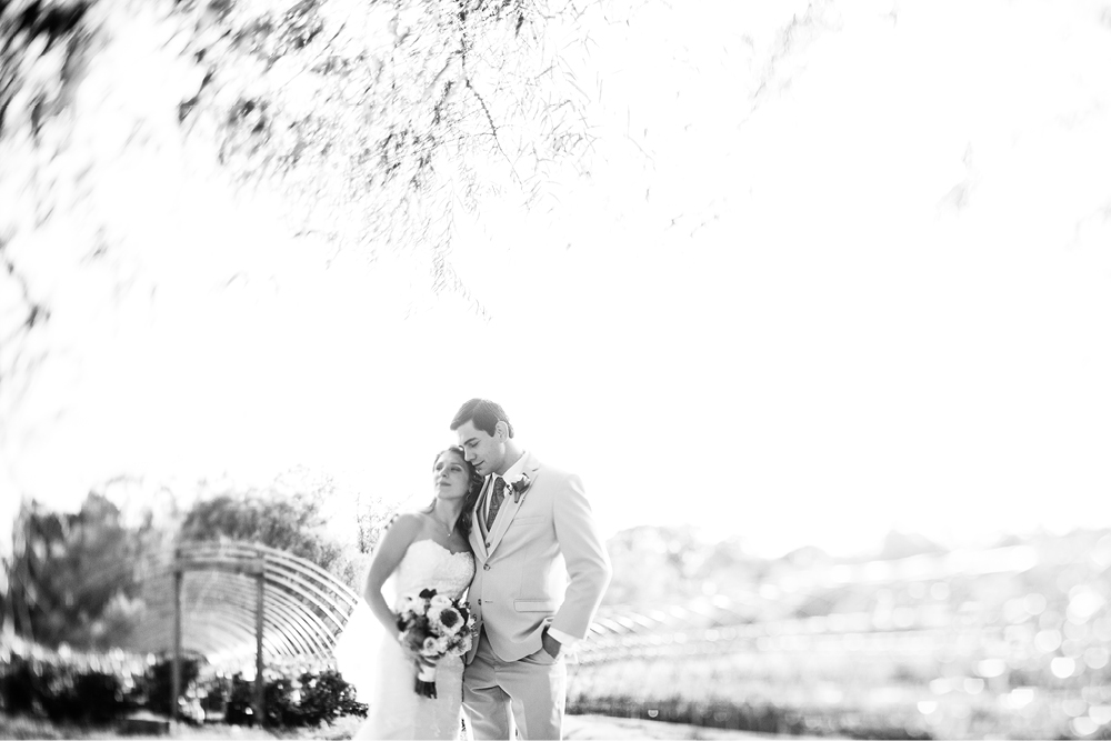 inn-at-fernbrook-farms-wedding-photography67