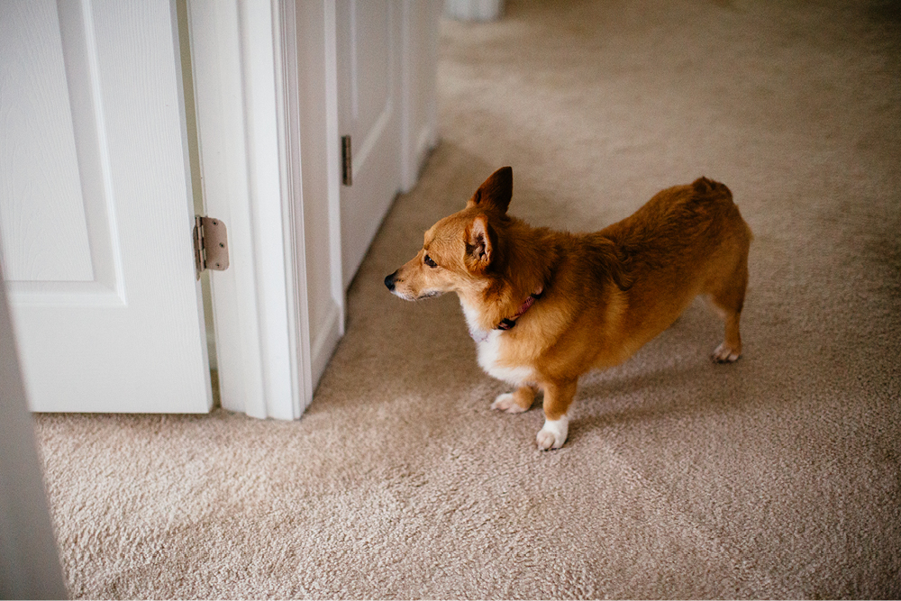 red-bank-nj-wedding-photographers11