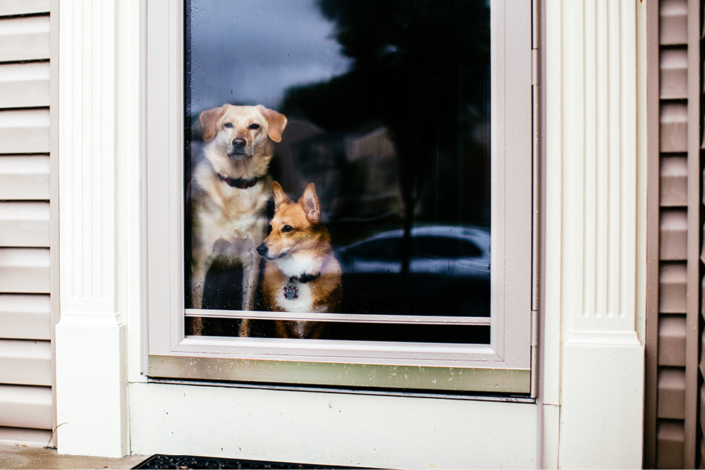 red-bank-nj-wedding-photographers8