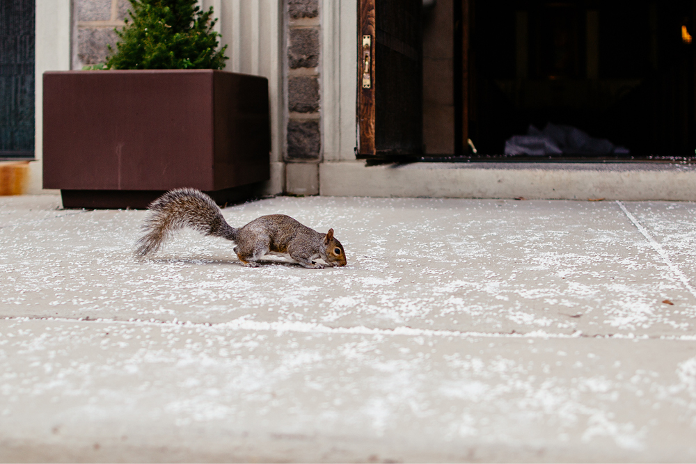 lake-valhalla-wedding-photography57