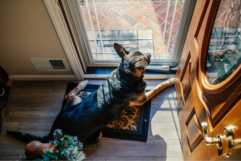 fineart-nj-wedding-photography7