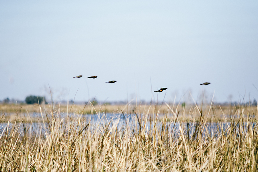 Savannah-GA-Photography14