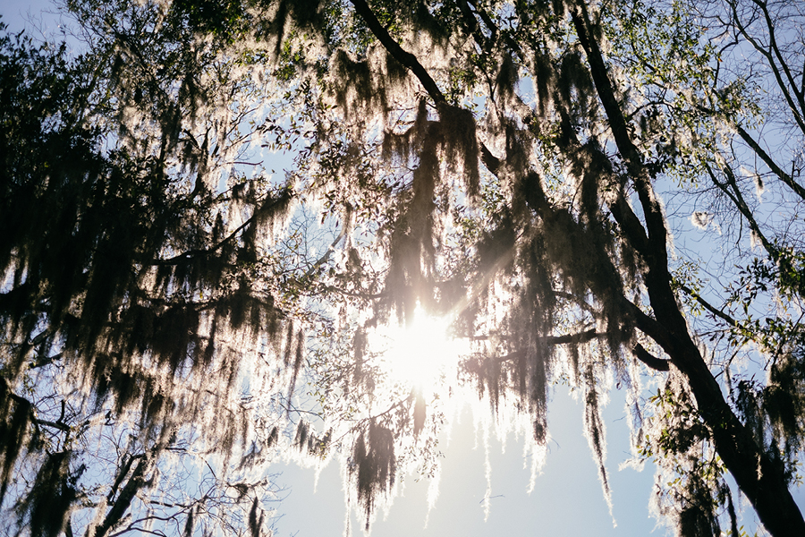 Savannah-GA-Photography20