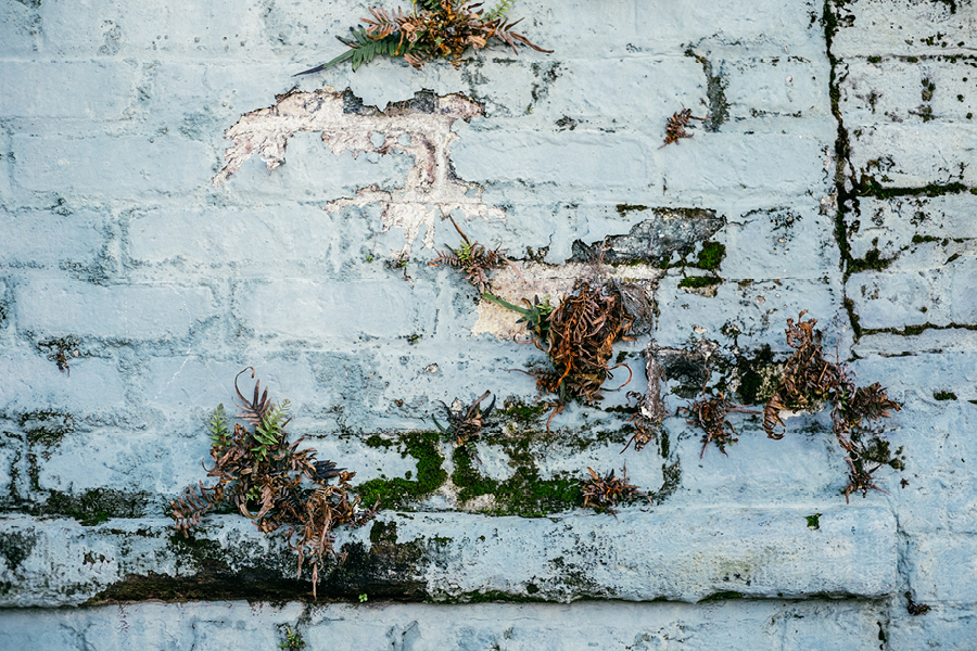 Savannah-GA-Photography34