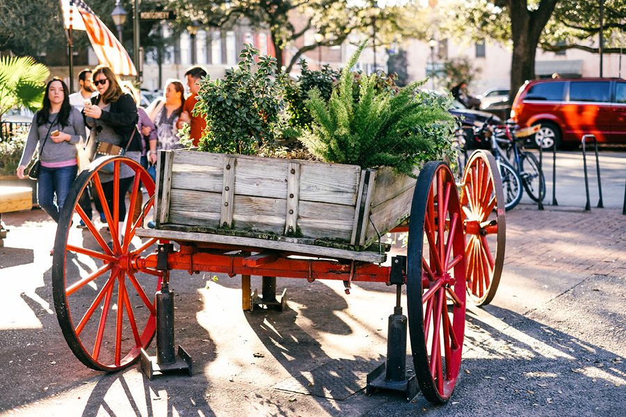 Savannah-GA-Photography72