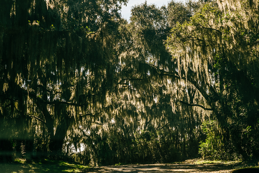 Savannah-GA-Photography83