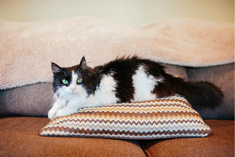 New-Jersey-engagement-photos8