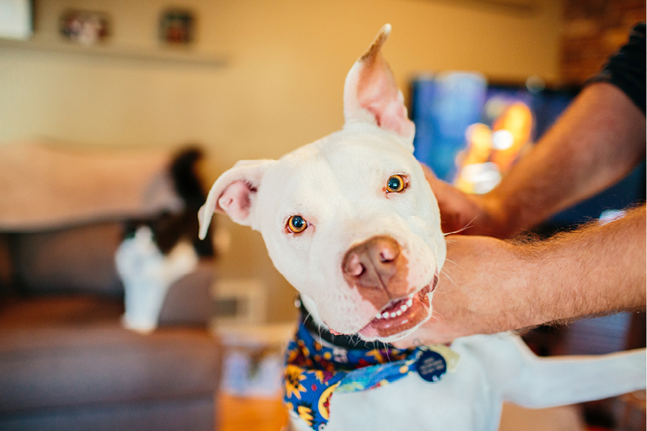 New-Jersey-engagement-photos9