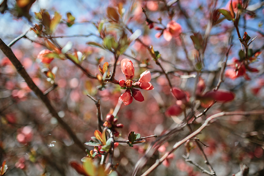 northern-new-jersey-documentary-wedding-photos34