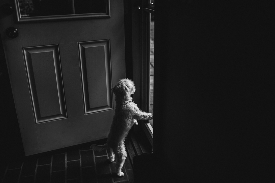 WillowWood-Arboretum-Wedding_0029