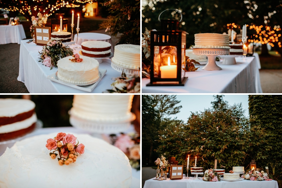 WillowWood-Arboretum-Wedding_0149