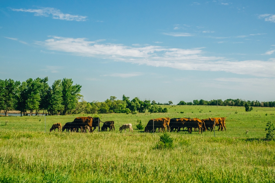Travel-Photography-Denver-Colorado_0023