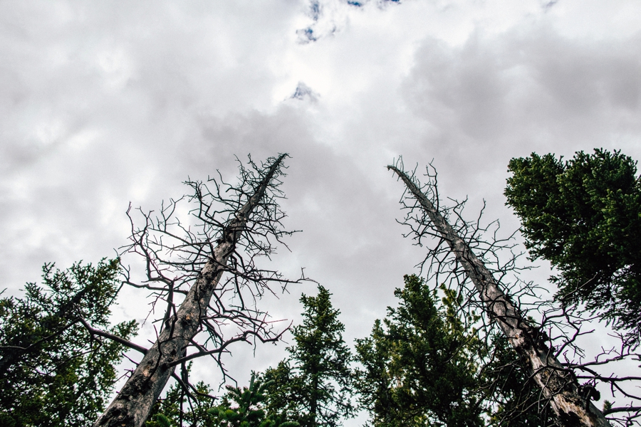 Travel-Photography-Denver-Colorado_0053