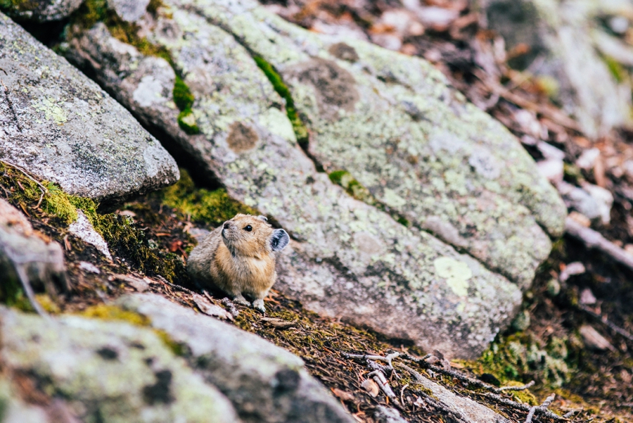 Travel-Photography-Denver-Colorado_0054