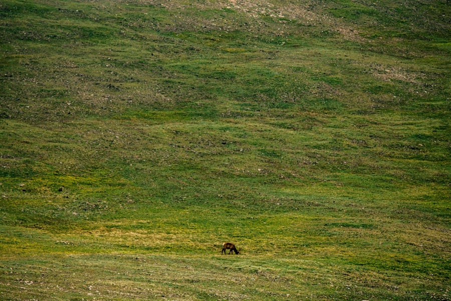 Travel-Photography-Denver-Colorado_0072