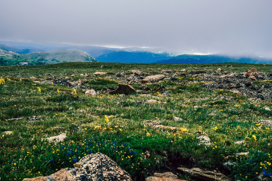 Travel-Photography-Denver-Colorado_0073
