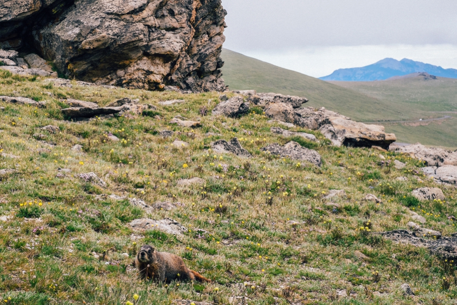 Travel-Photography-Denver-Colorado_0079