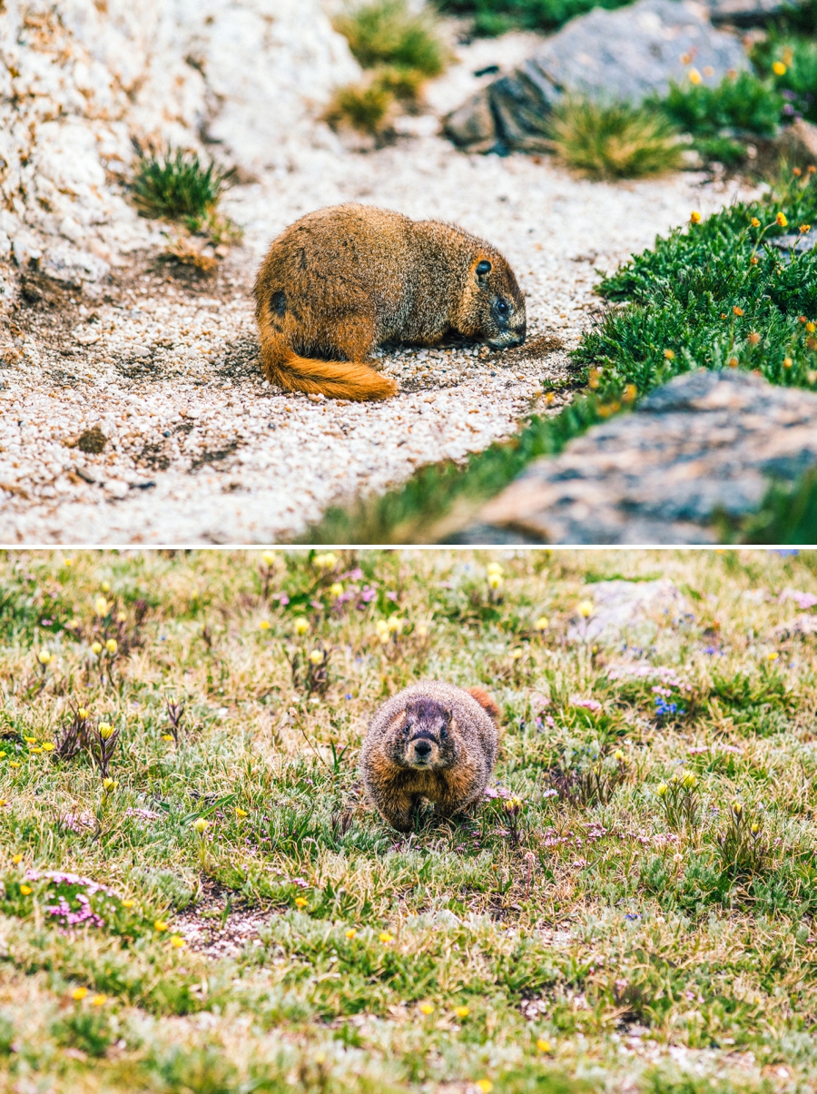 Travel-Photography-Denver-Colorado_0080