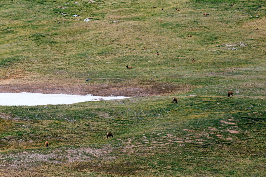 Travel-Photography-Denver-Colorado_0085