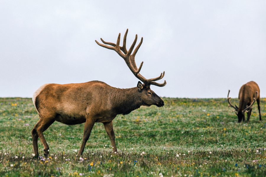 Travel-Photography-Denver-Colorado_0087