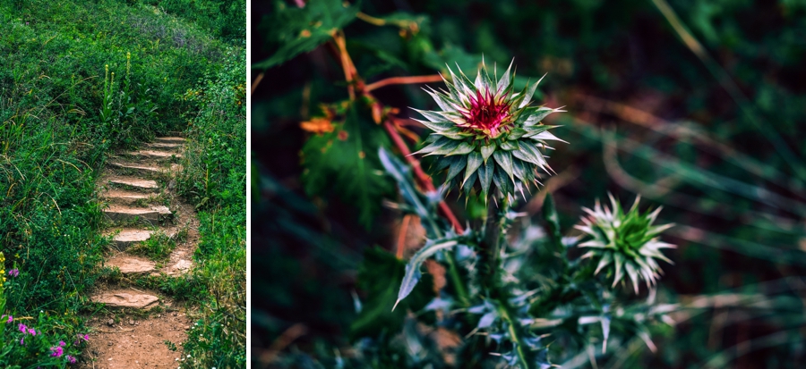Travel-Photography-Denver-Colorado_0095