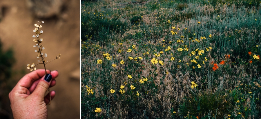 Travel-Photography-Denver-Colorado_0099