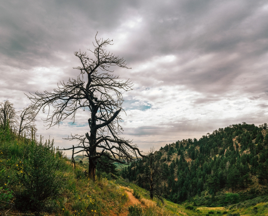 Travel-Photography-Denver-Colorado_0100