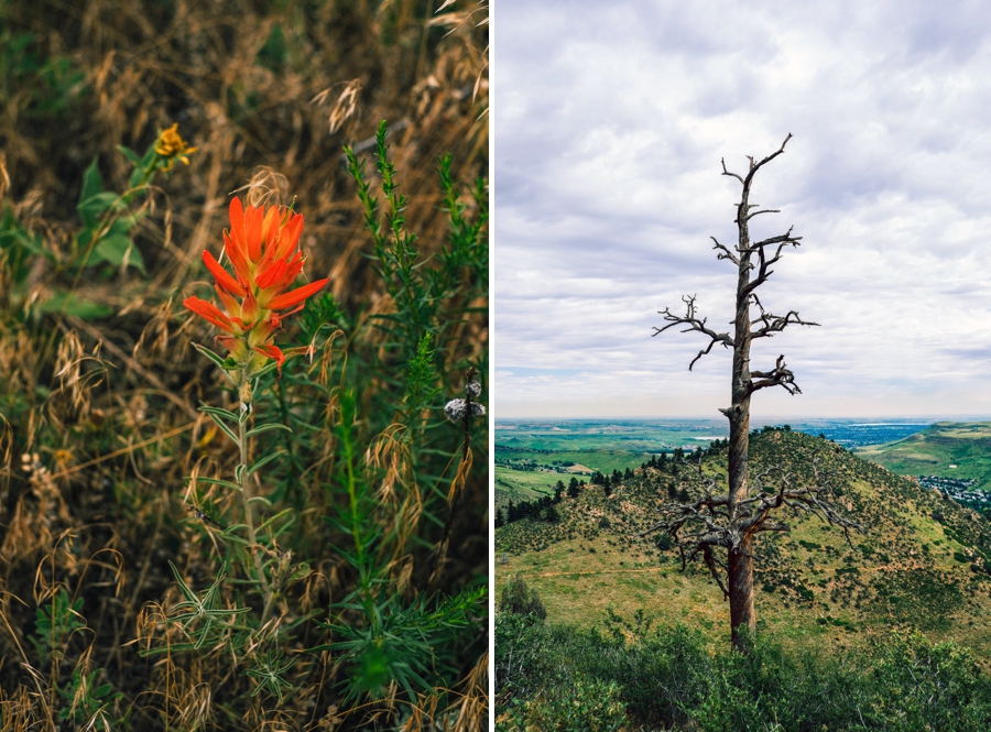 Travel-Photography-Denver-Colorado_0106