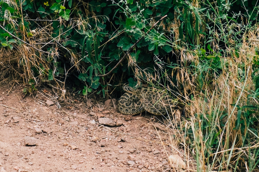 Travel-Photography-Denver-Colorado_0108