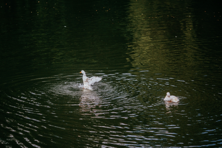 Buttermilk-Falls-Inn-Wedding_0003