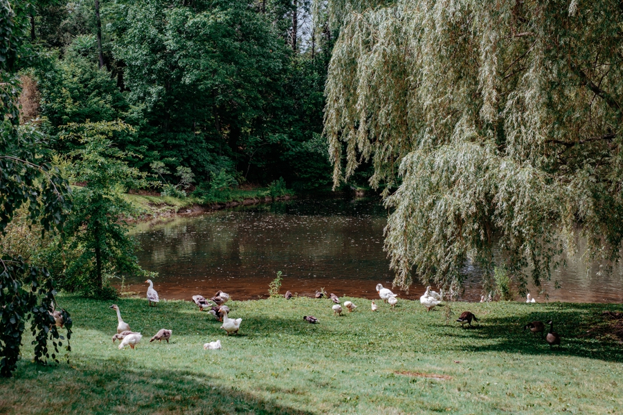 Buttermilk-Falls-Inn-Wedding_0070