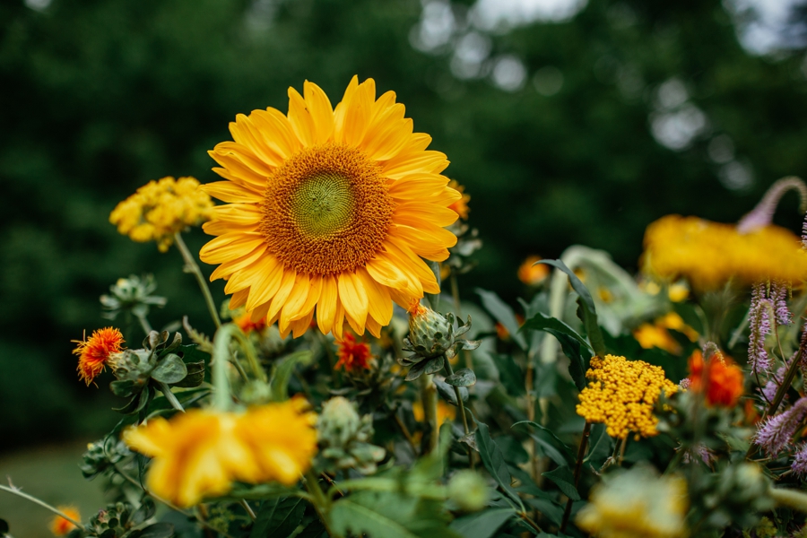 Buttermilk-Falls-Inn-Wedding_0072