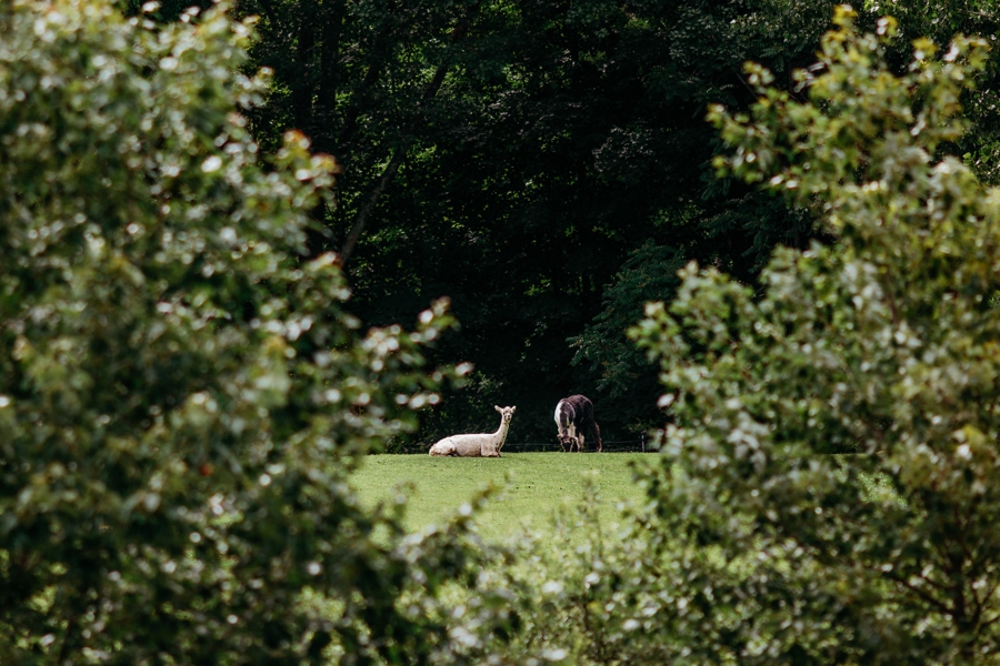 Buttermilk-Falls-Inn-Wedding_0095