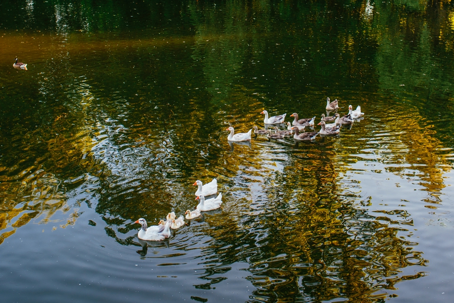 Buttermilk-Falls-Inn-Wedding_0127