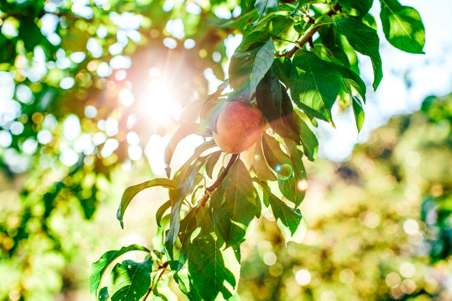 Buttermilk-Falls-Inn-Wedding_0128