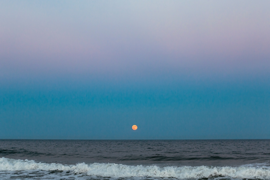 surprise-backyard-wedding-in-new-jersey_0079