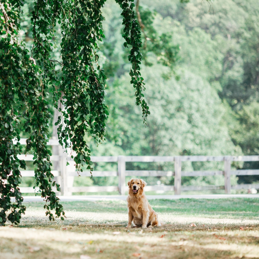 Sleepy-Hollow-Country-Club-Wedding_0086