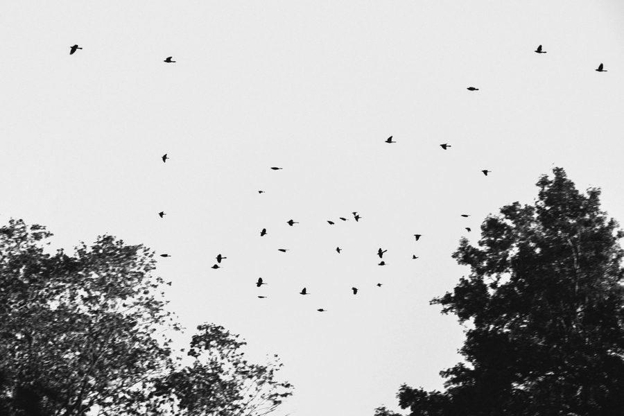 fall-engagement-photos-in-central-park_011