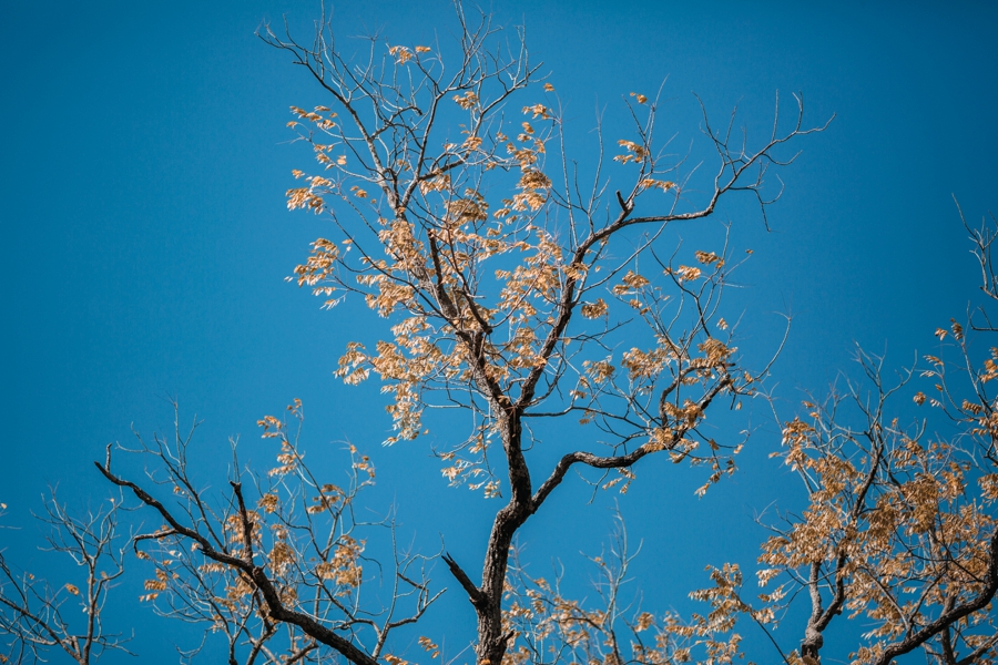 weddings-at-holly-hedge-estate-in-new-hope_0038