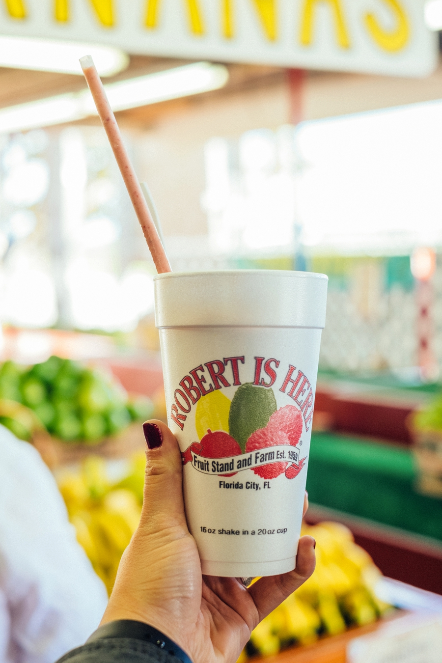 Robert-Is-Here-Florida