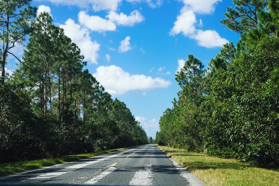 Key-Largo-Photos_0003