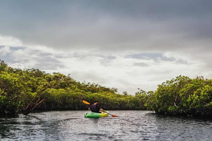 Key-Largo-Photos_0009