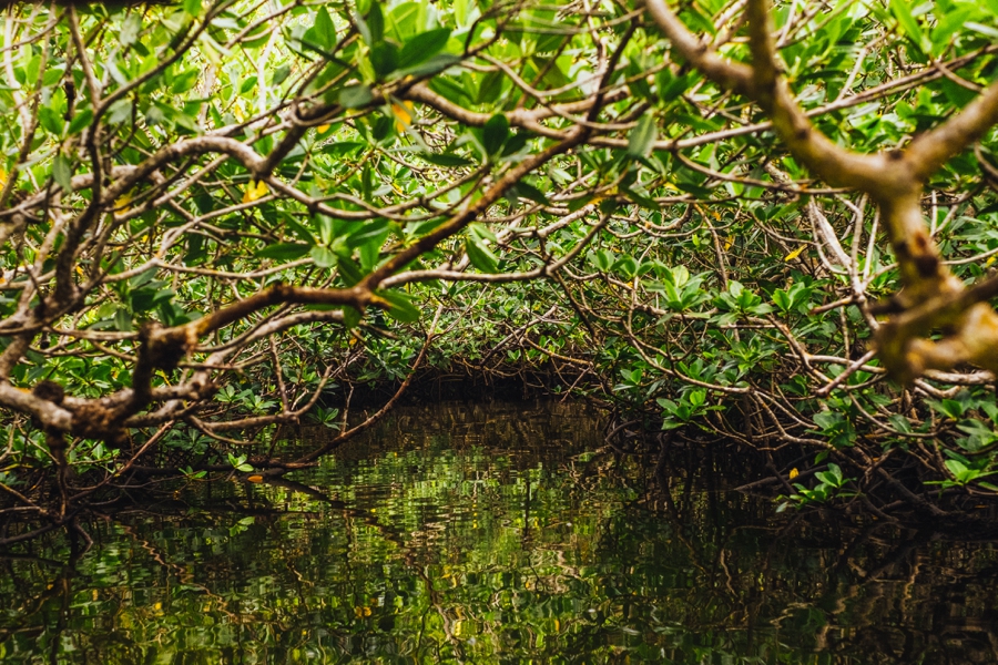 Key-Largo-Photos_0015