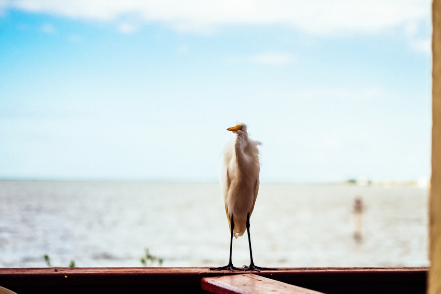 Key-Largo-Photos_0018