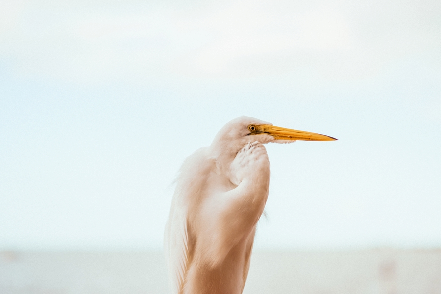 Key-Largo-Photos_0019