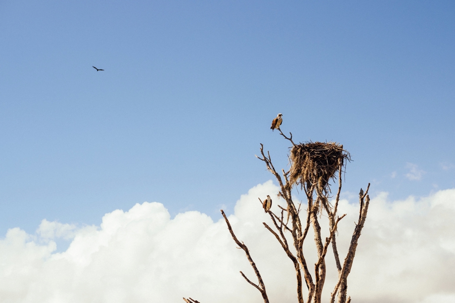 Key-Largo-Photos_0027