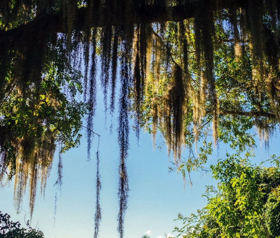 Key-Largo-Photos_0033