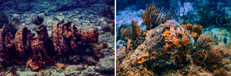 Key-Largo-Photos_0038