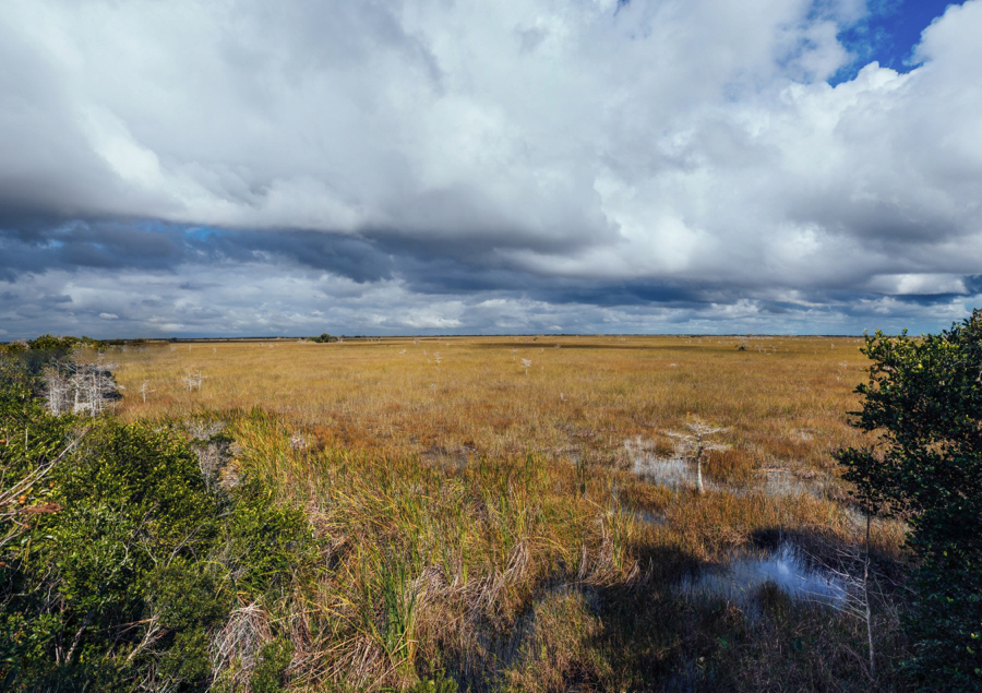 Key-Largo-Photos_0028